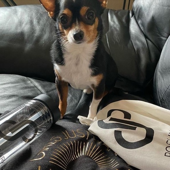 Silent 🤫 Show Notification 💕​ - Picture 15 of 15